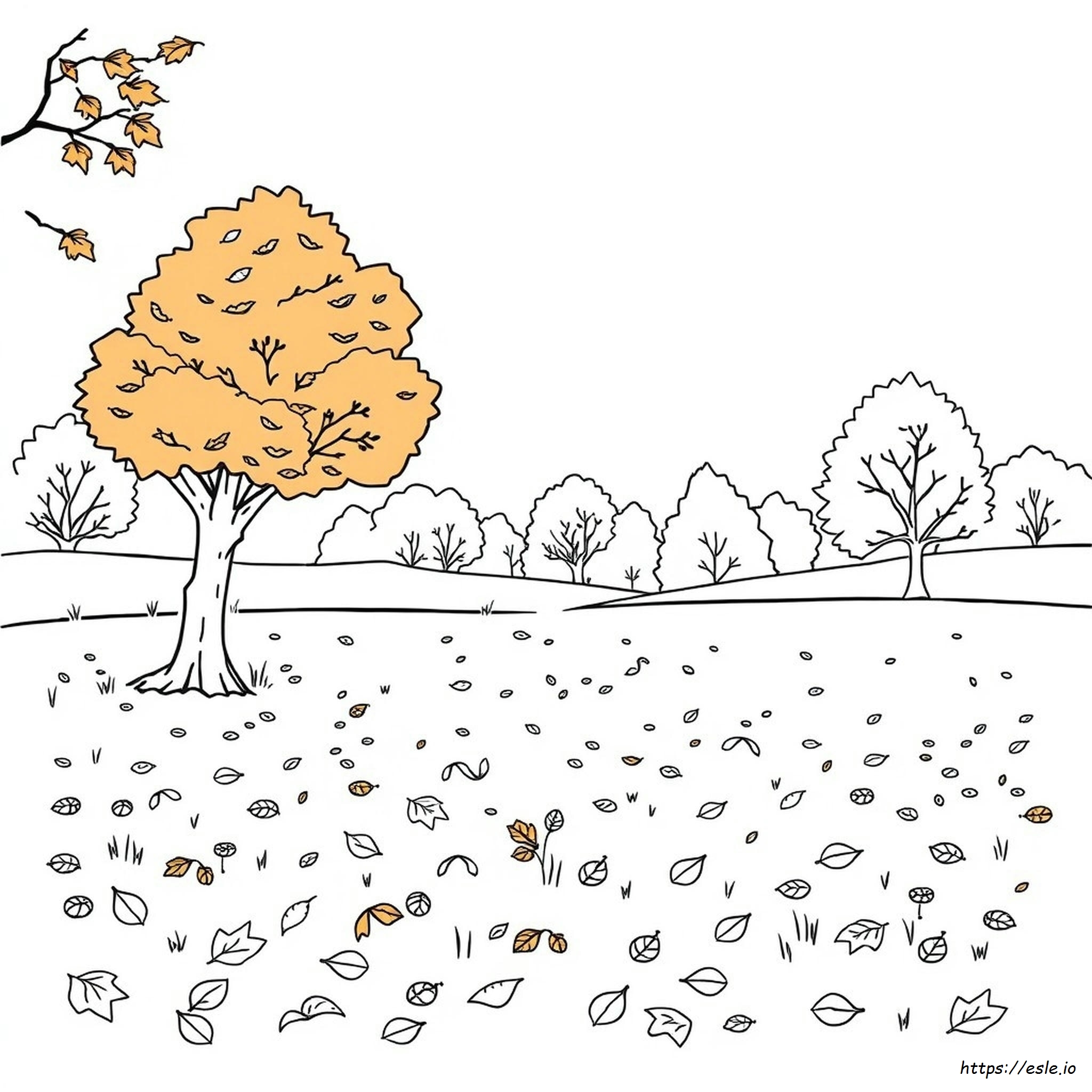 Fall Nature Coloring Pages