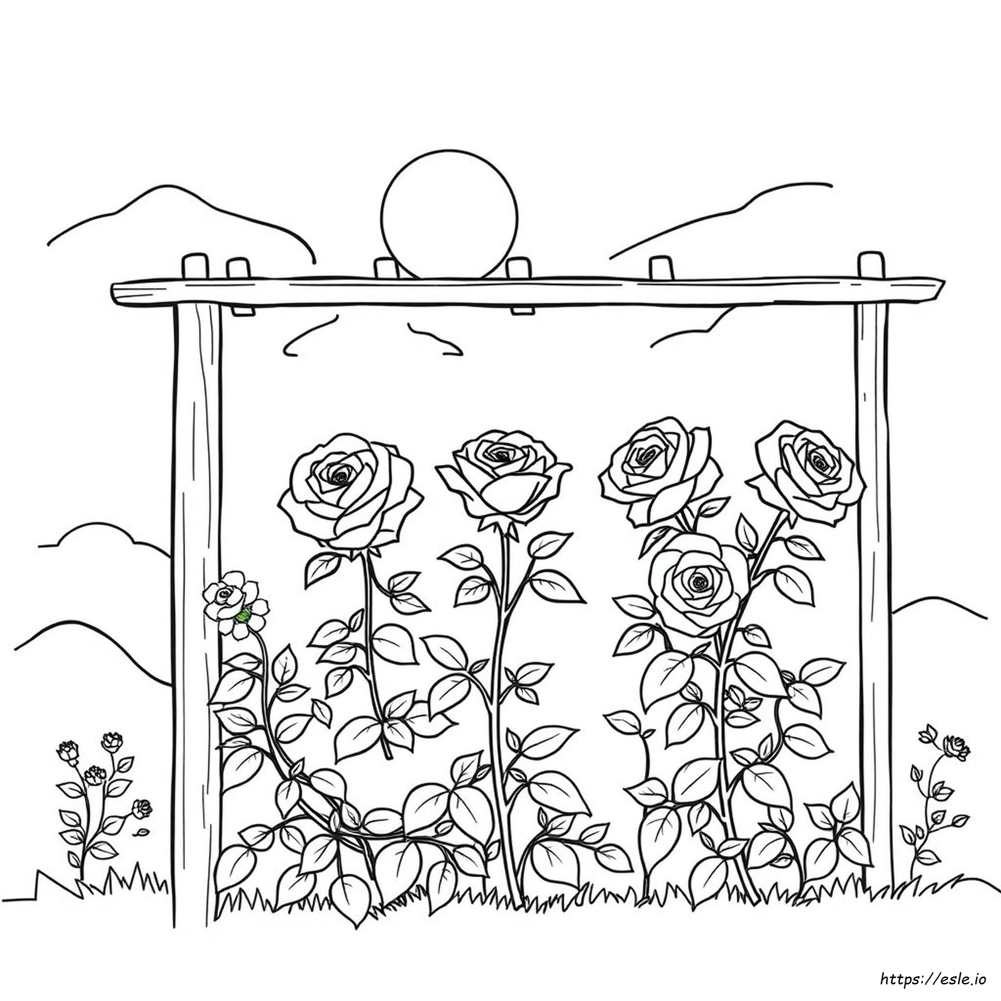 Coloring Pages Of Roses