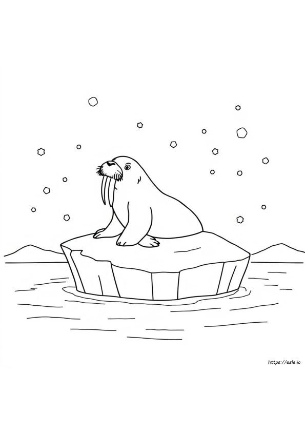 Walrus Coloring