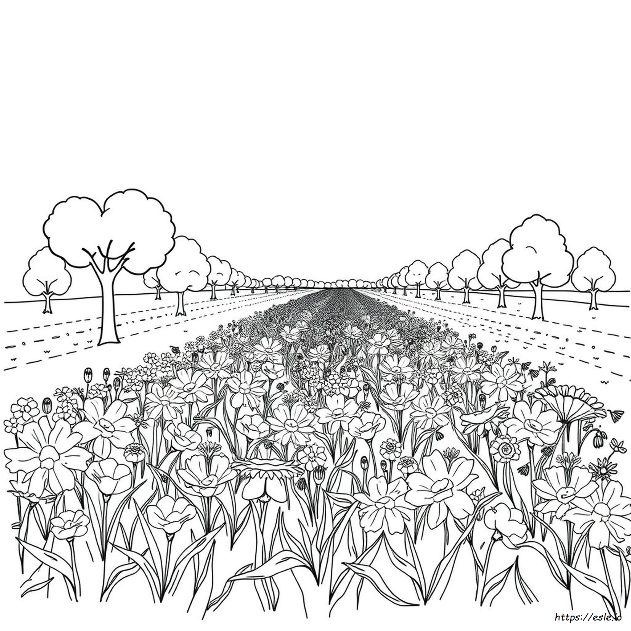 Long Rectangle Free Printable Coloring Pages