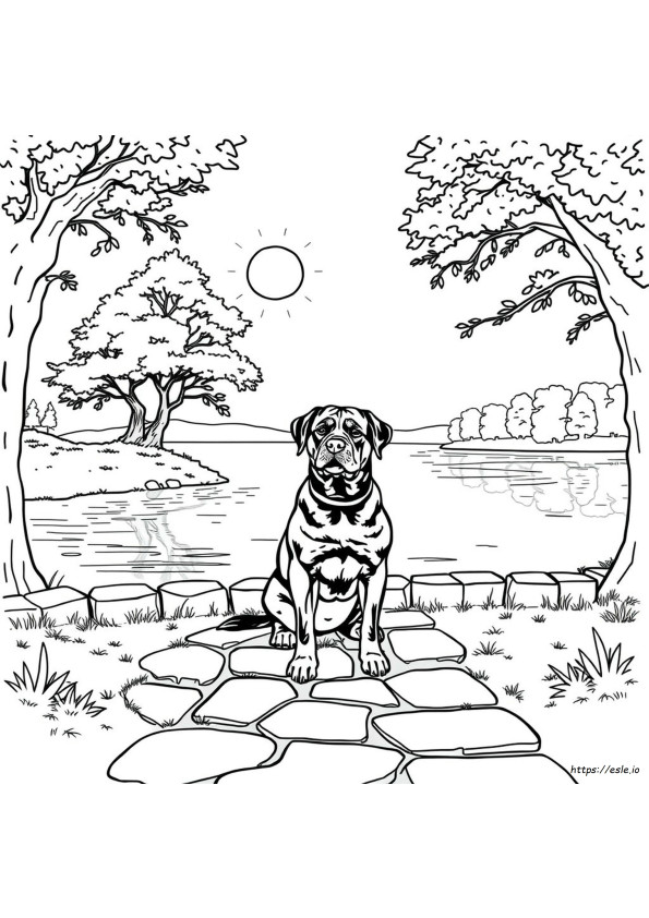 Kolorowanki Rottweiler Dla Dorosłych