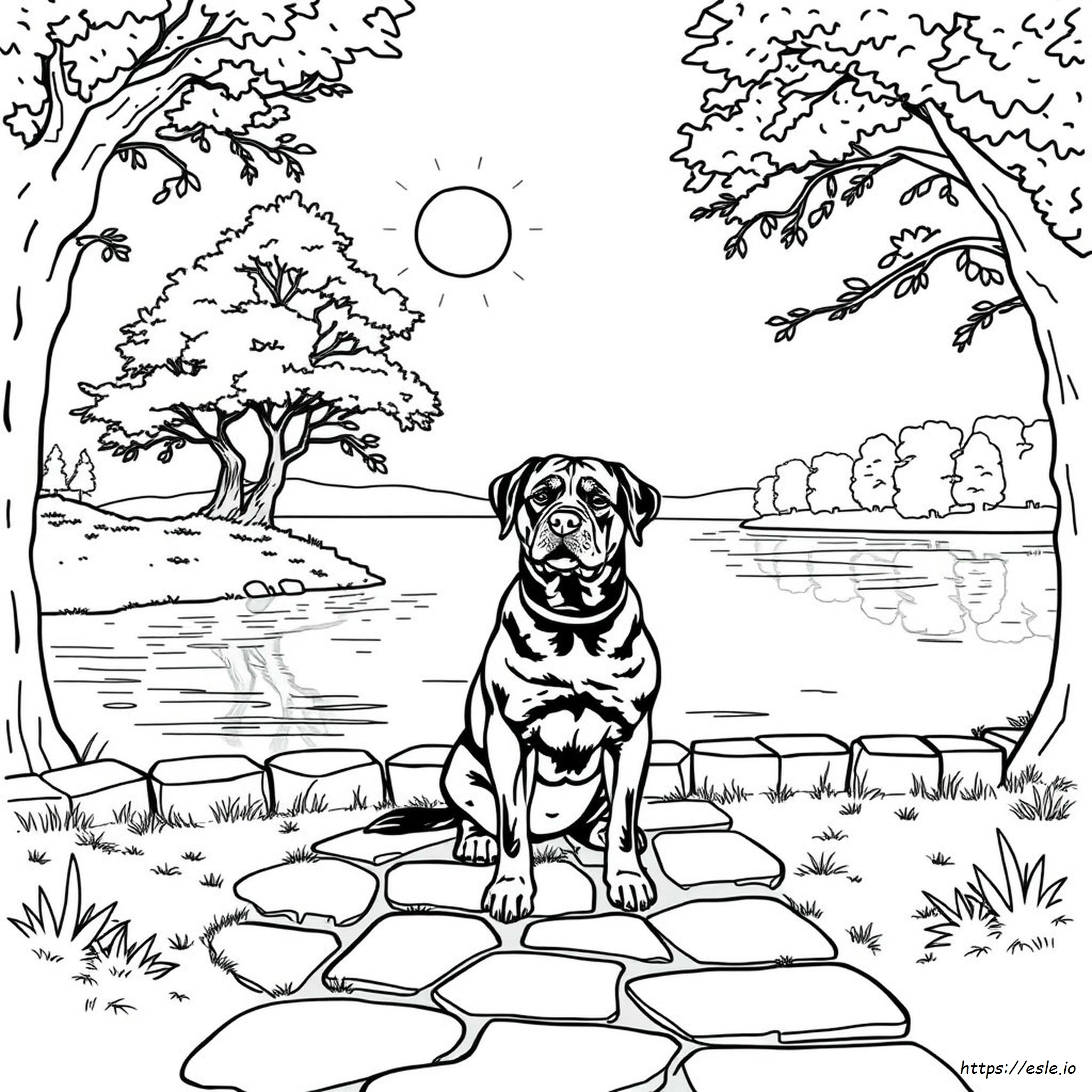 Rottweiler Coloring Pages For Adults