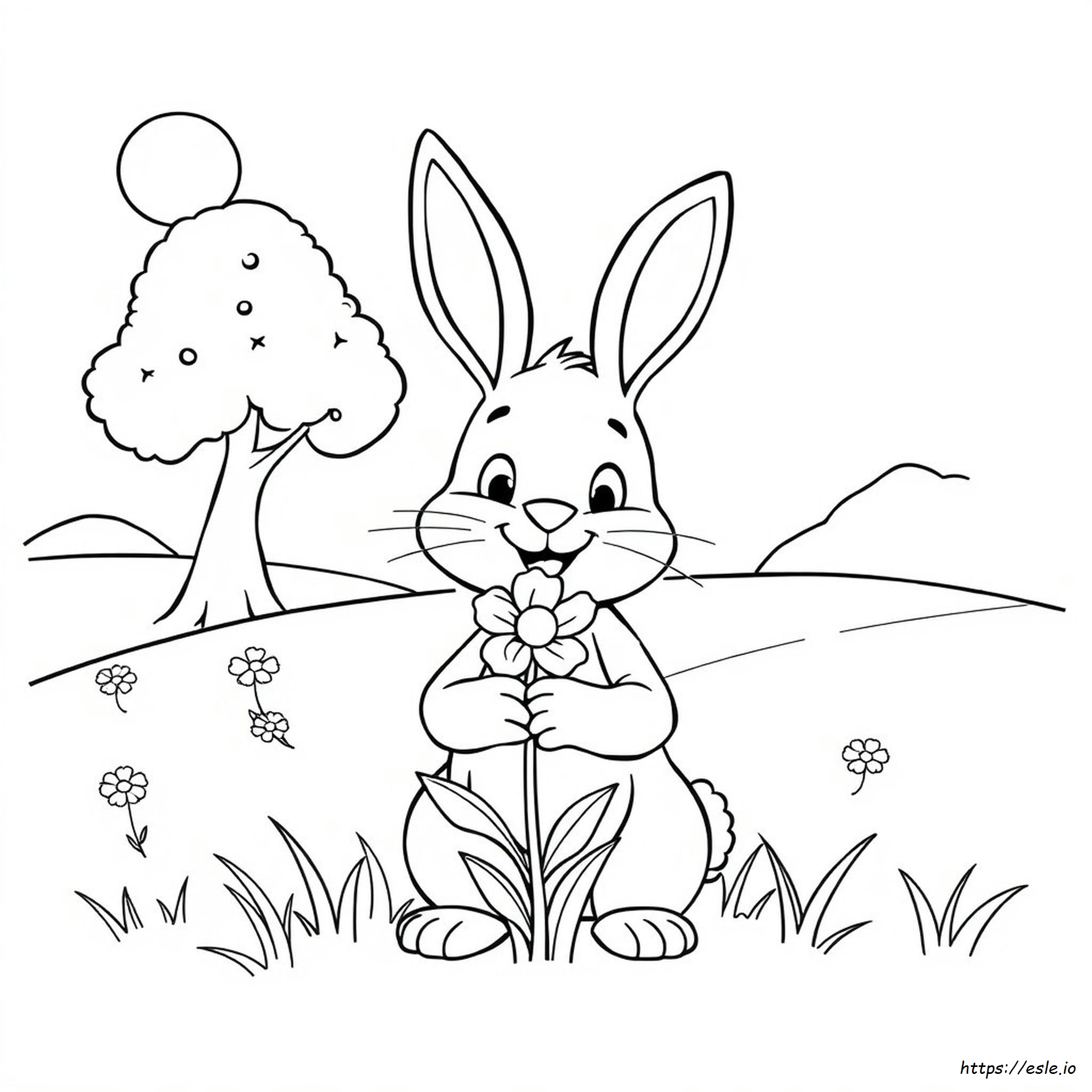 Mejores Dibujos Para Colorear Para Imprimir