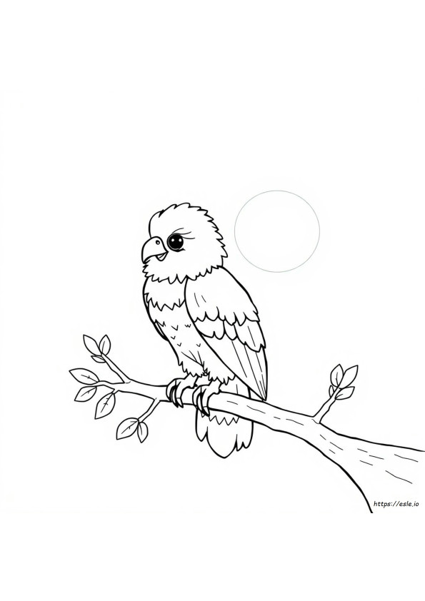 かわいいワシのぬりえ