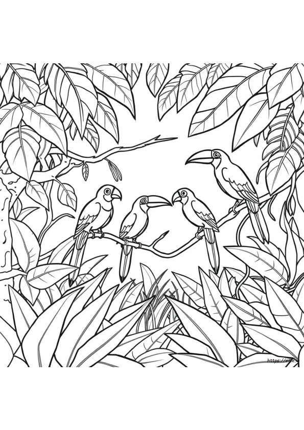 Coloriages Oiseaux De La Jungle