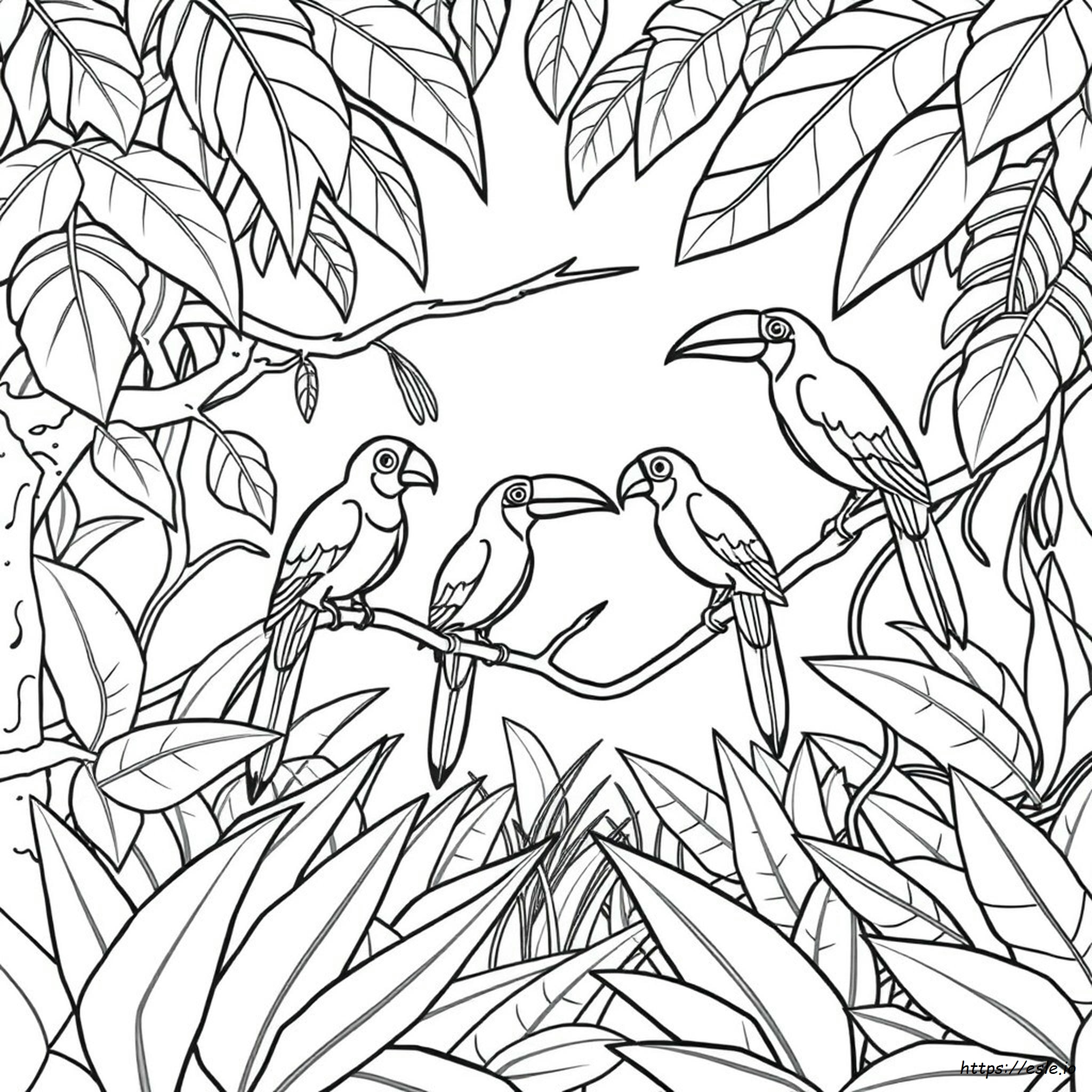 Páginas Para Colorear De Aves De La Selva