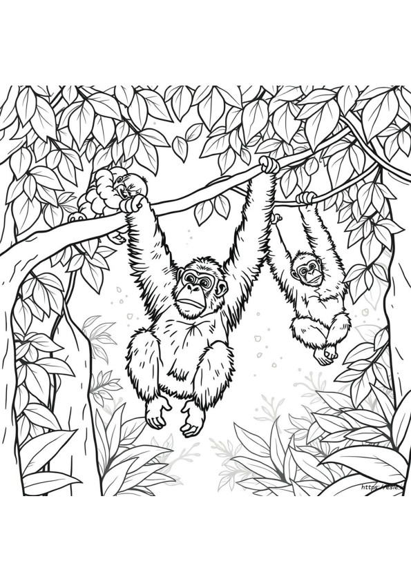 Orangutan Coloring