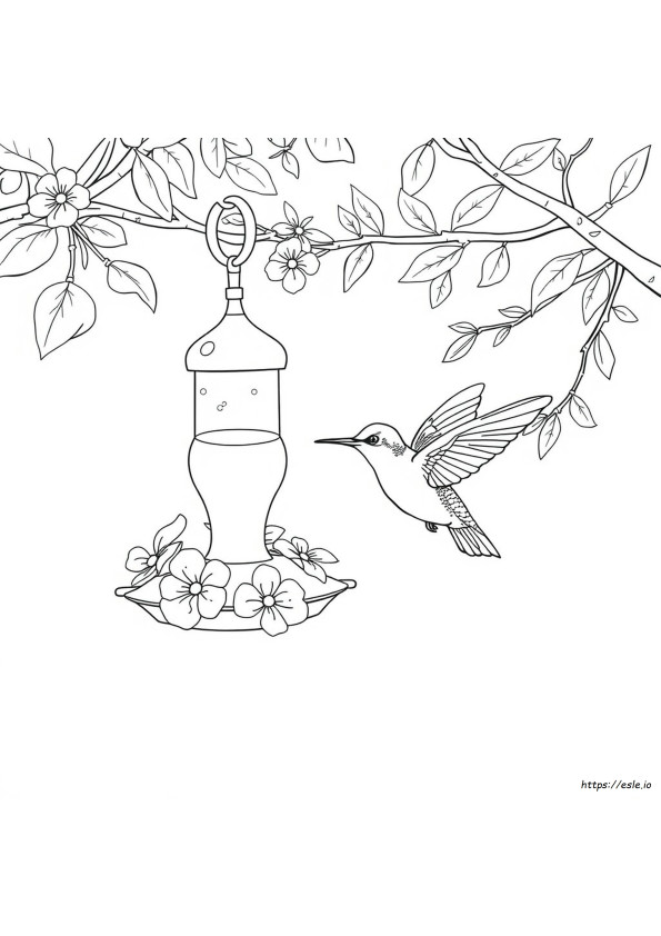 Le Colorant Alimentaire Nuit-Il Aux Colibris