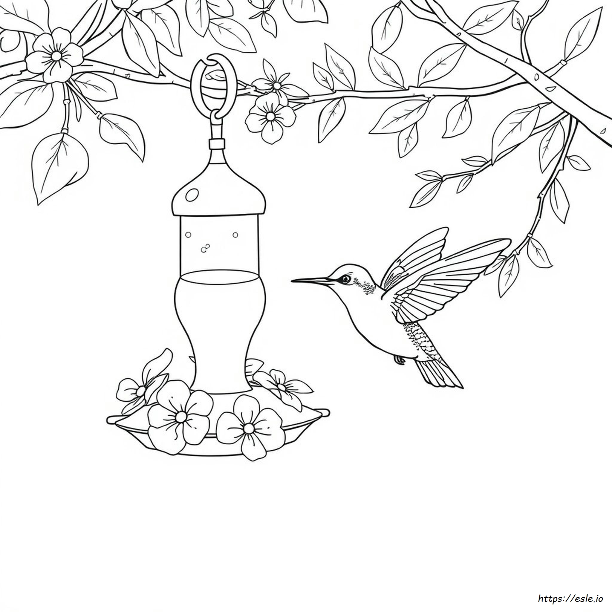 Does Food Coloring Hurt Hummingbirds