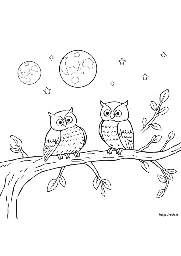 Owl Coloring Pages To Print