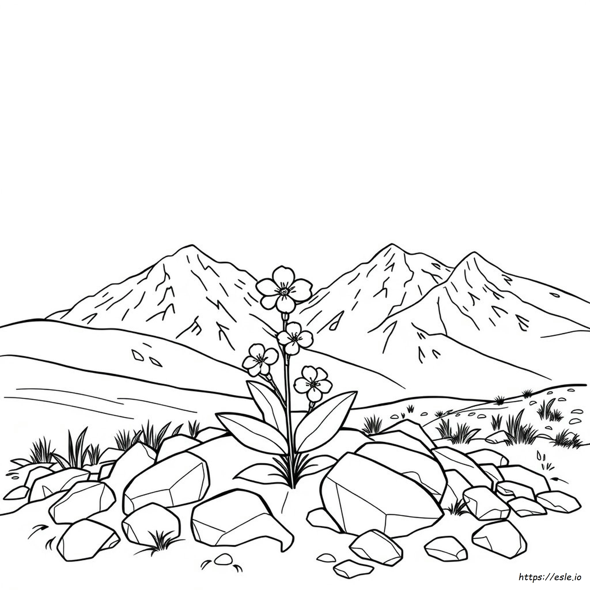 Alaska State Flower Coloring Page