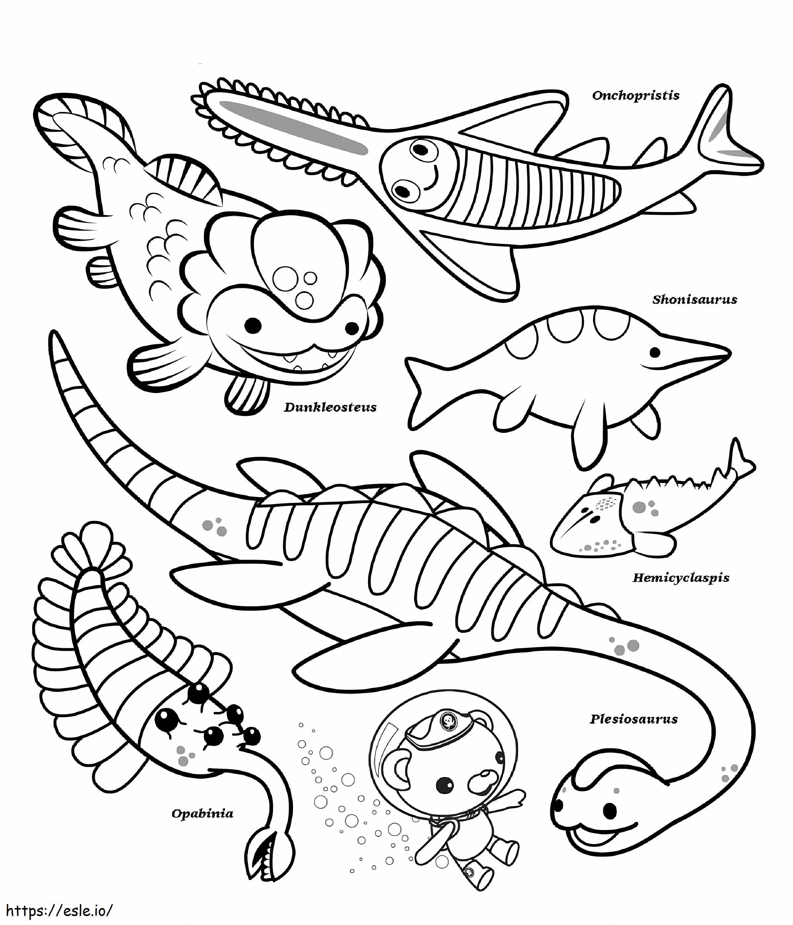 オクトノート 海の生き物たち ぬりえ - 塗り絵