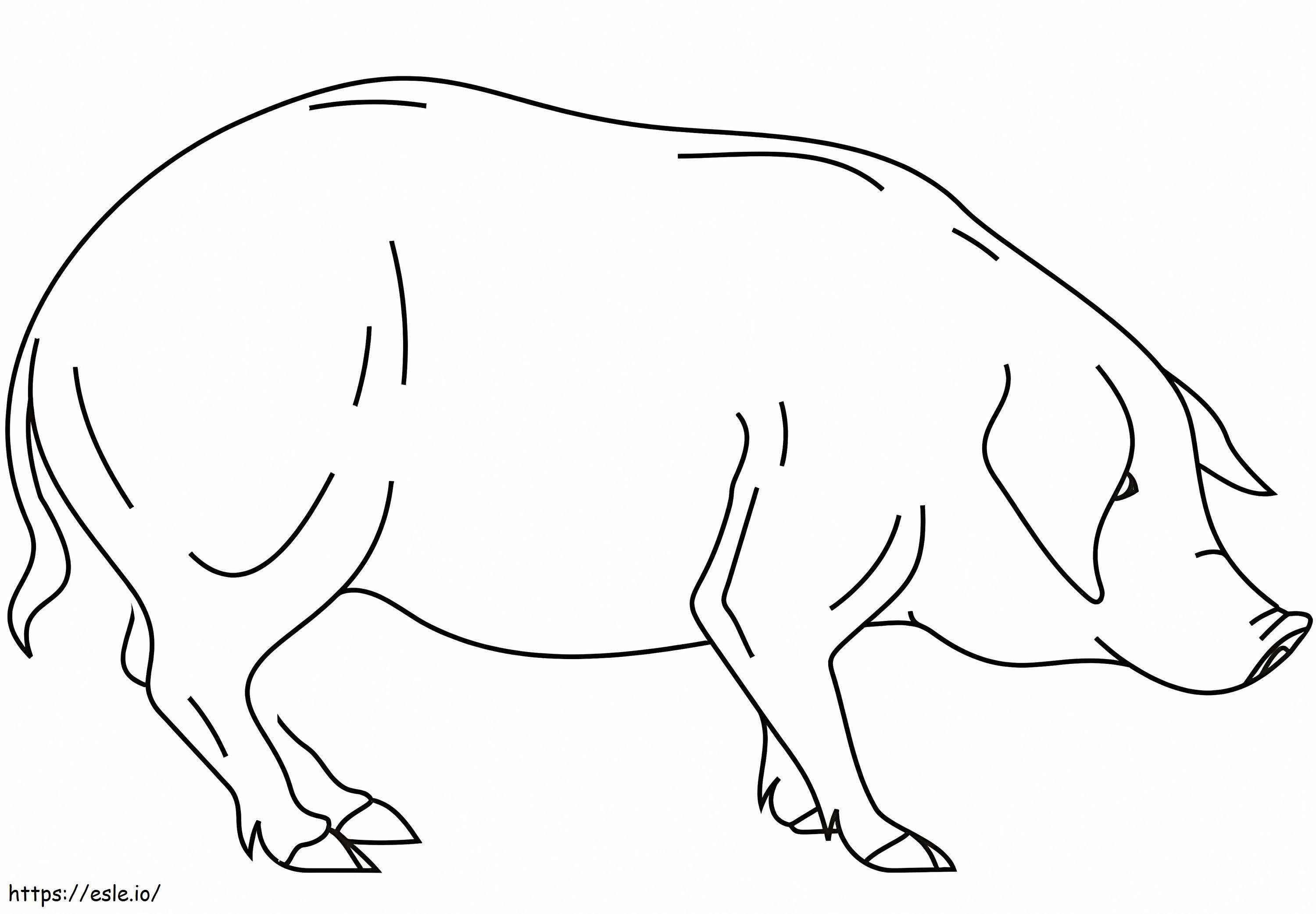 Normal Pig 1 coloring page