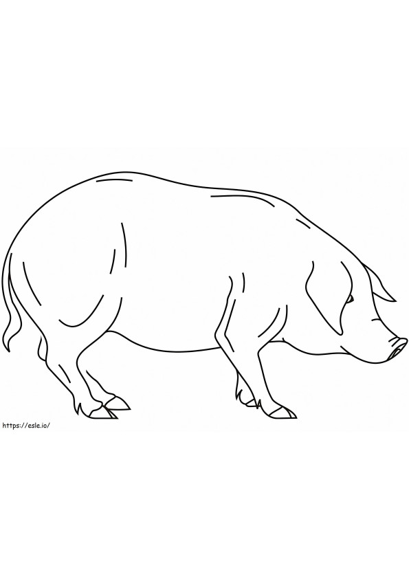 Coloriage Cochon normal 1 à imprimer dessin