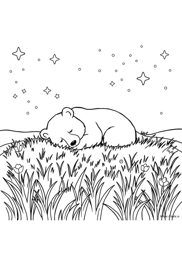 L'orso Russa Pagine Da Colorare