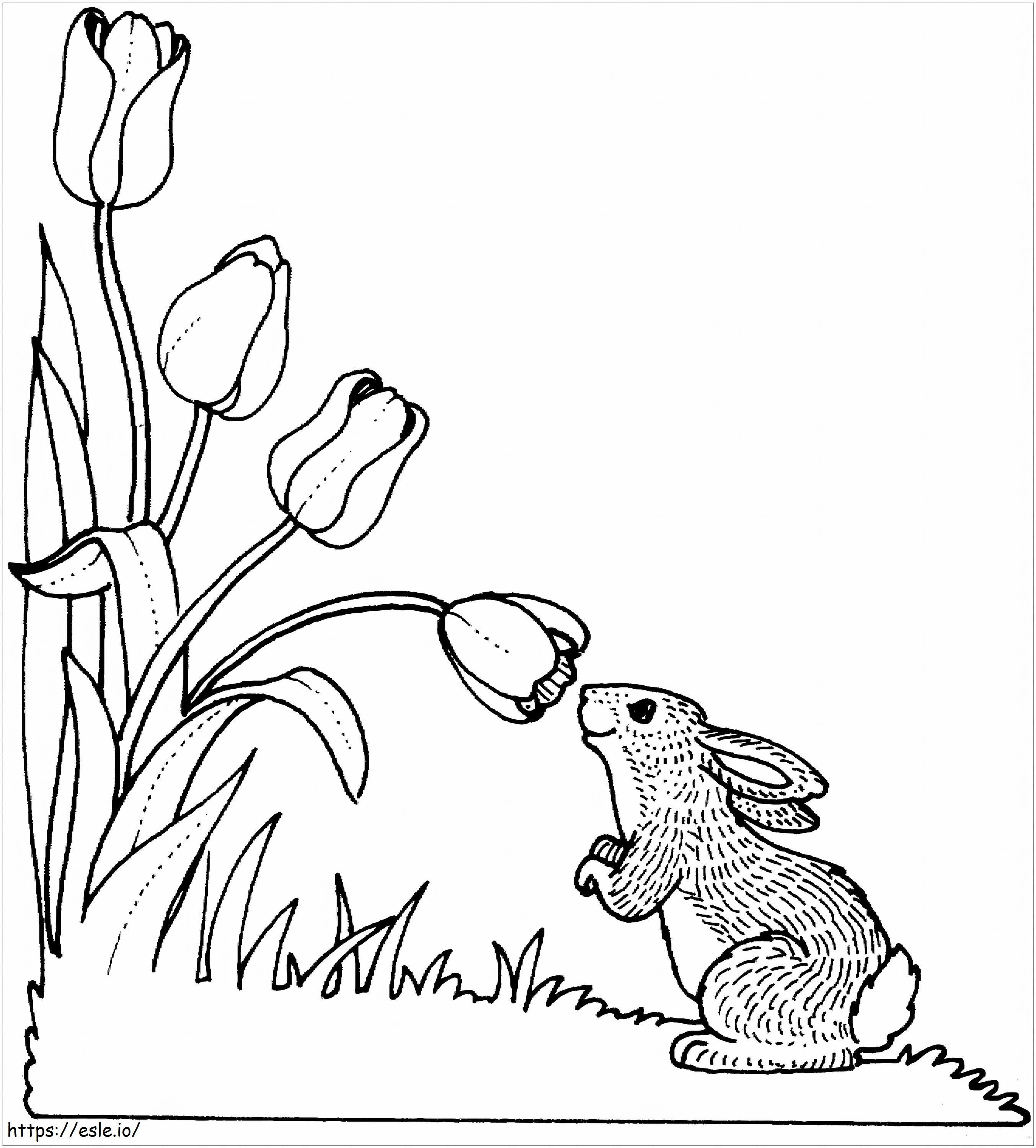 Rabbit With Tulip coloring page