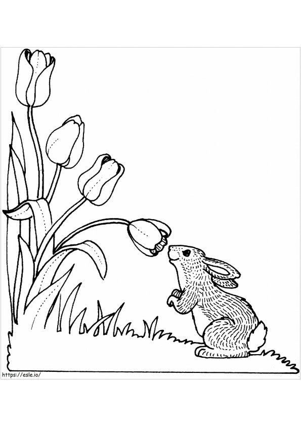 Coloriage lapin avec tulipe à imprimer dessin