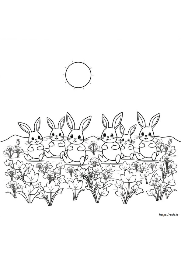 Bunny Coloring Book Pages