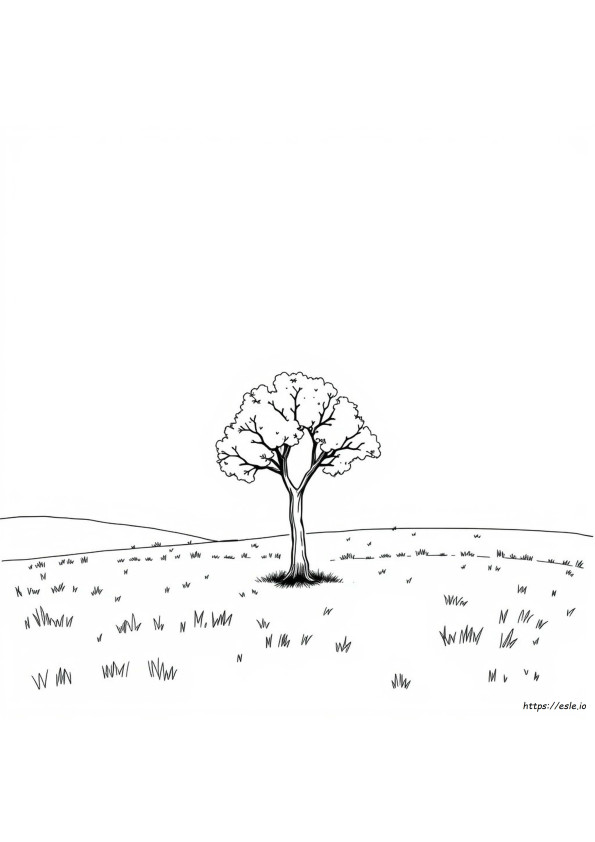 Coloriage Arbre Vide