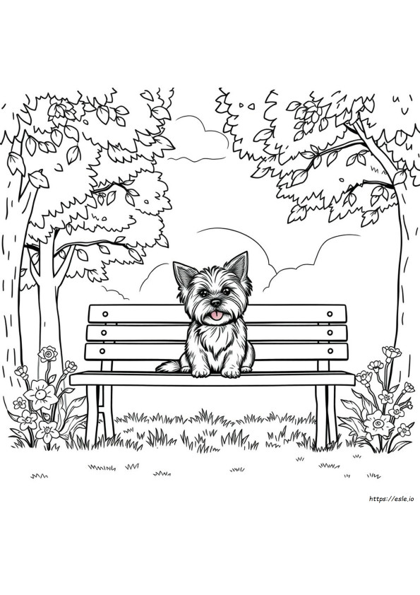 Yorkie Ausmalbilder