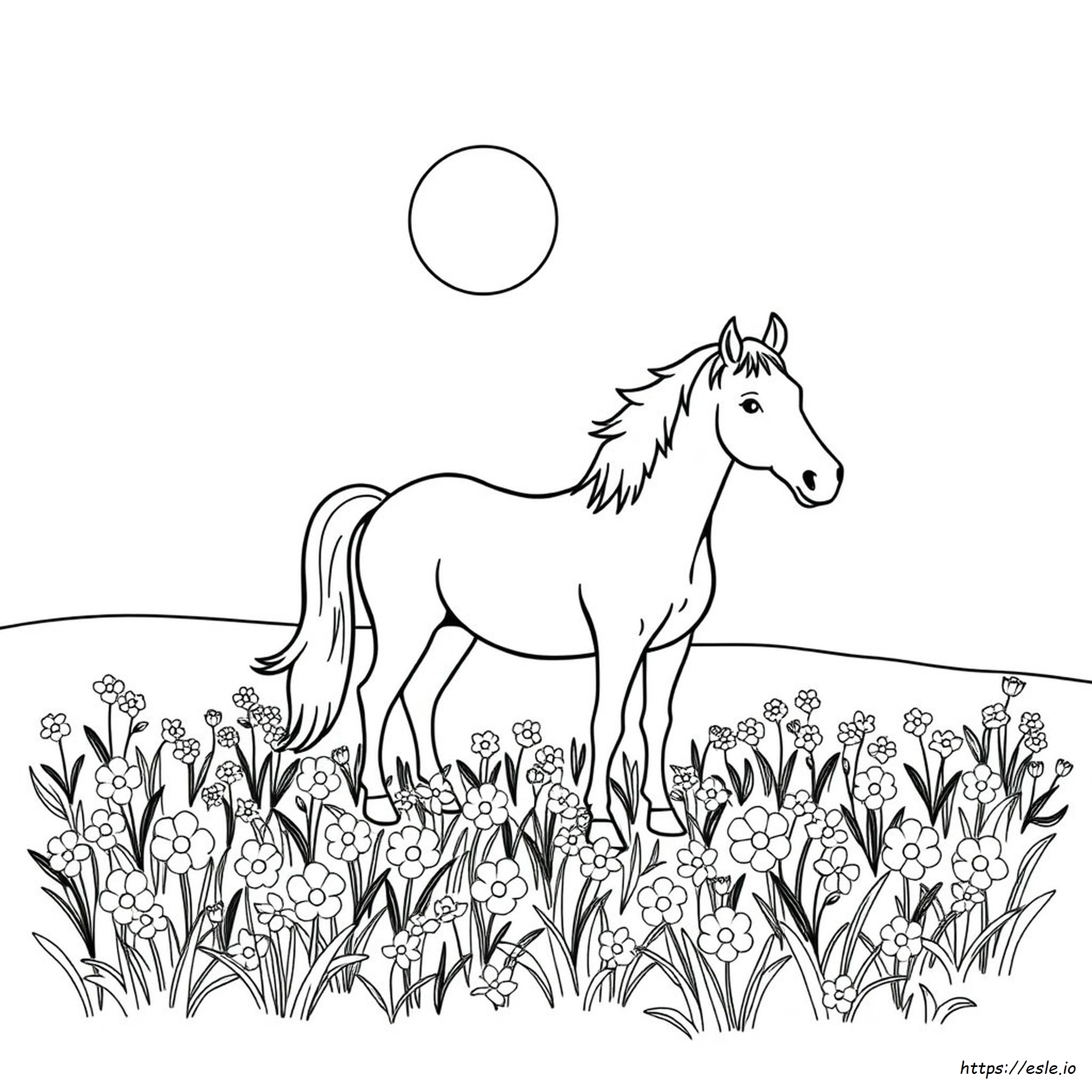 Horse Colouring Pages