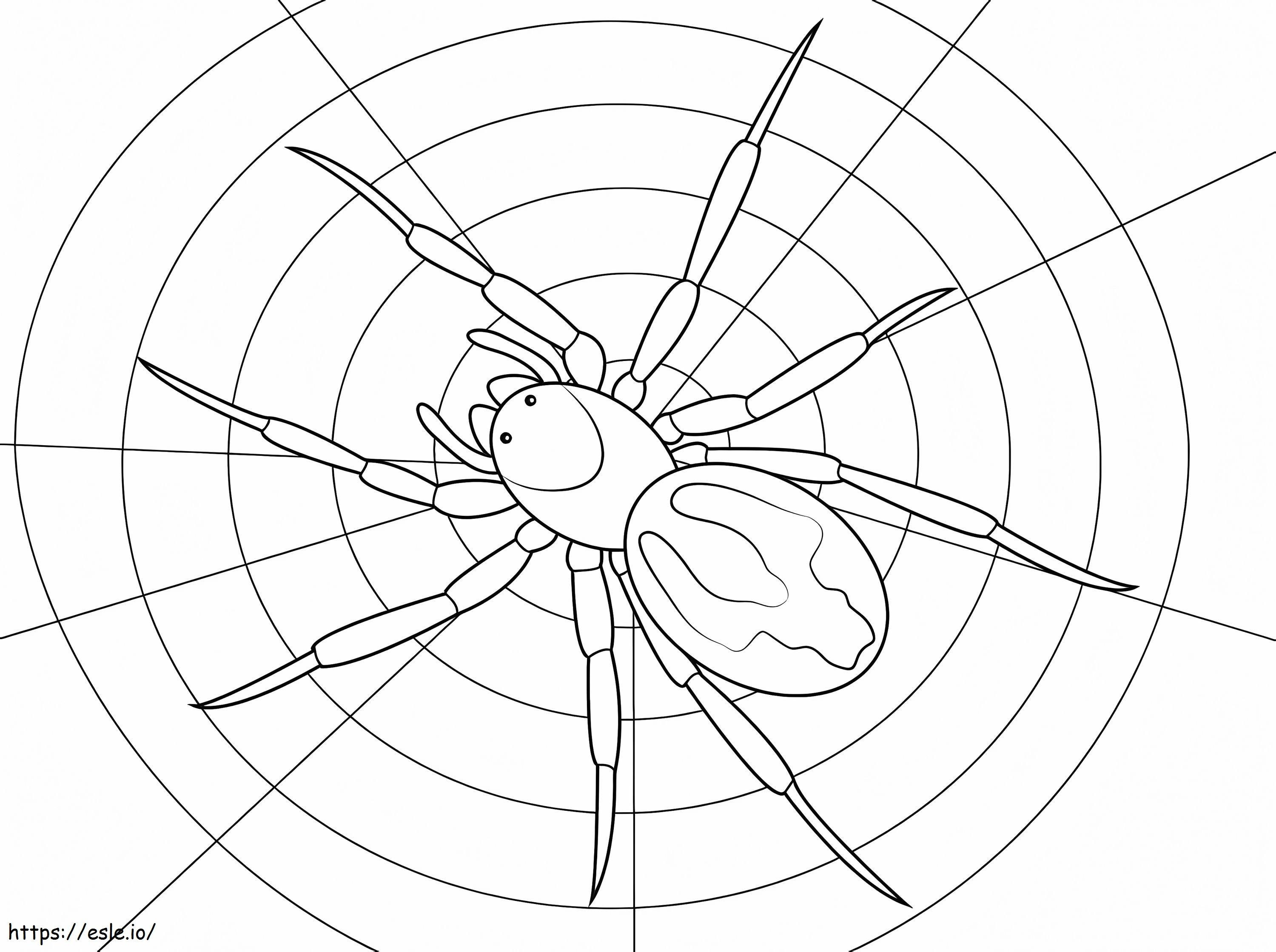 Druckbare Spinne ausmalbilder