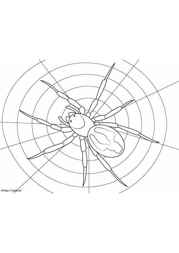 Printable Spider coloring page