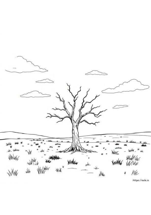 Coloriage Arbre Mort