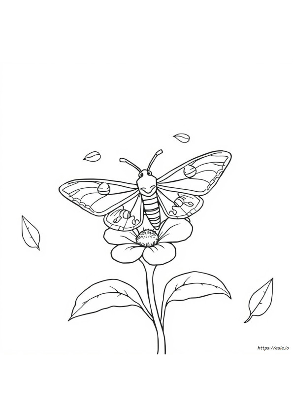 Coloriage Papillon De Nuit À Imprimer