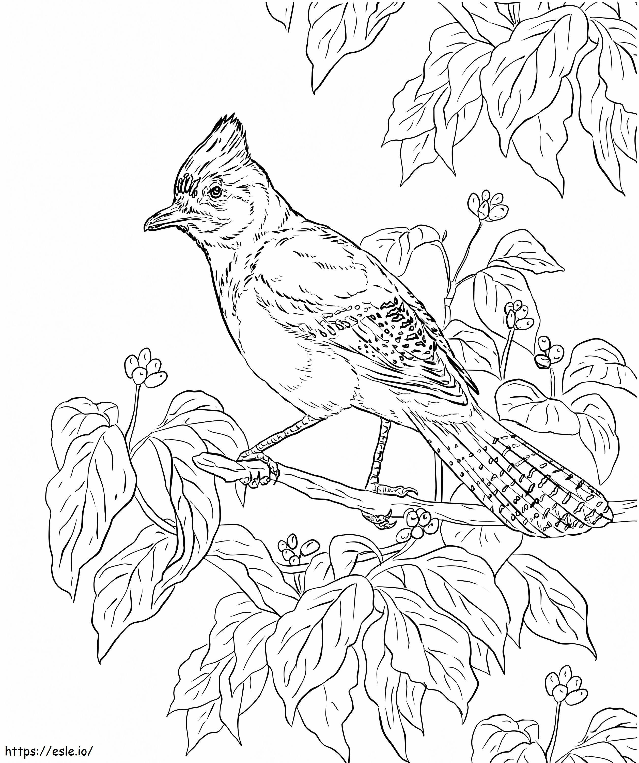 Jays On Tree Branch coloring page