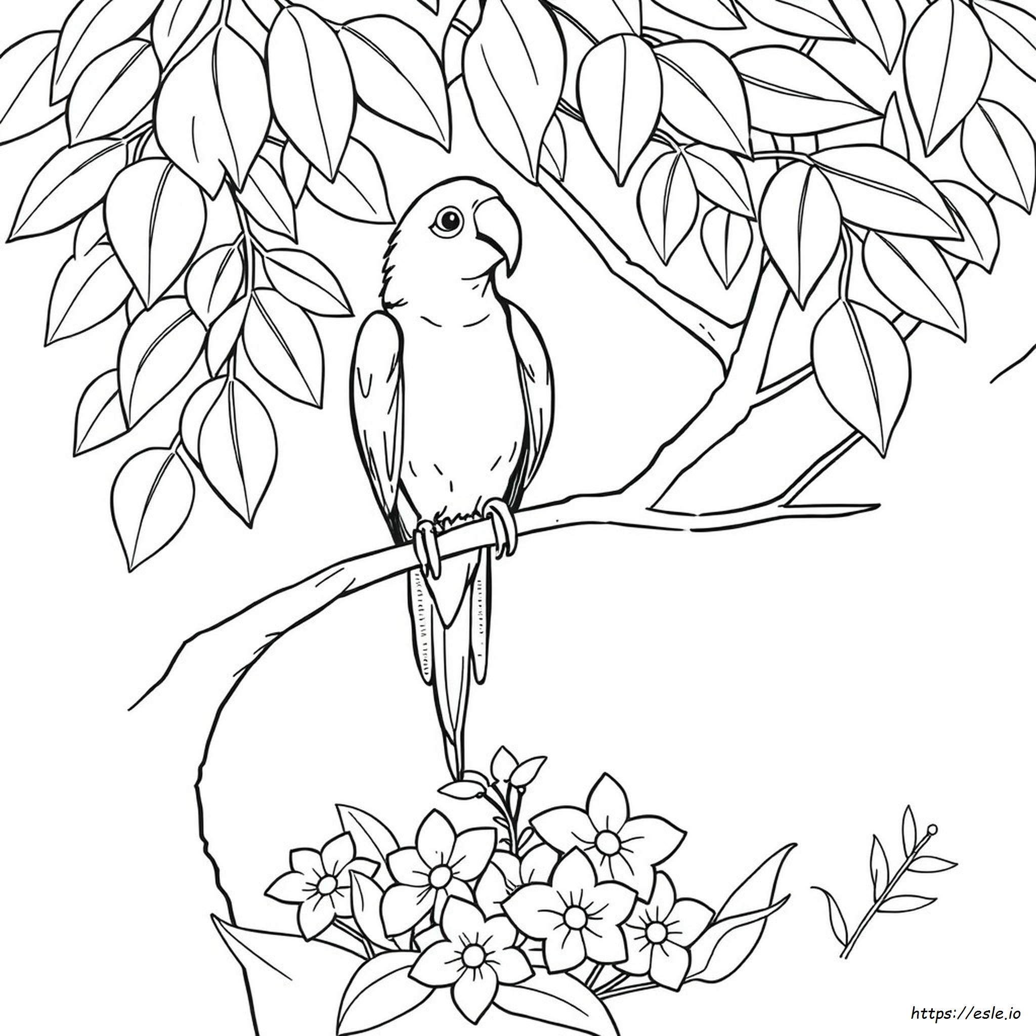 Parrot Images For Colouring