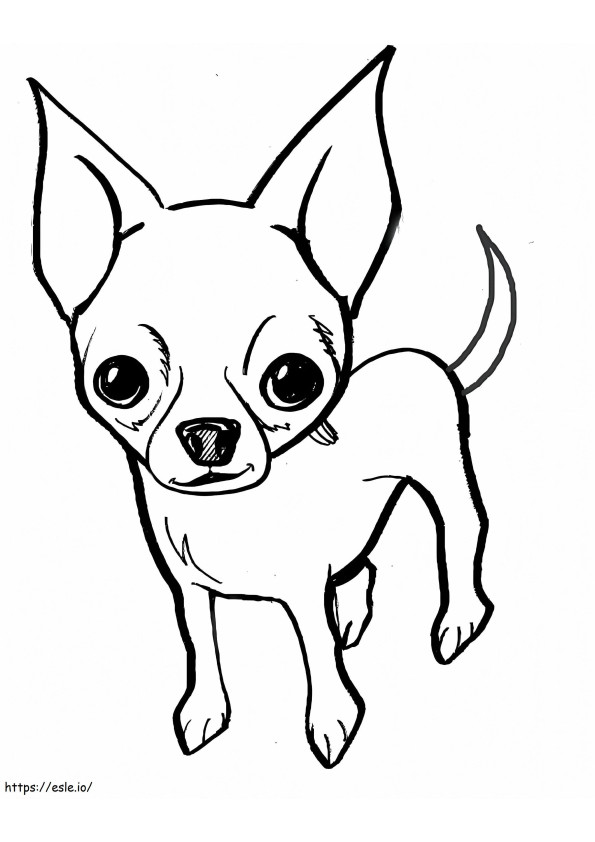 A Chihuahua coloring page