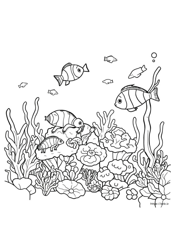 Invertebrati Immagini Da Colorare