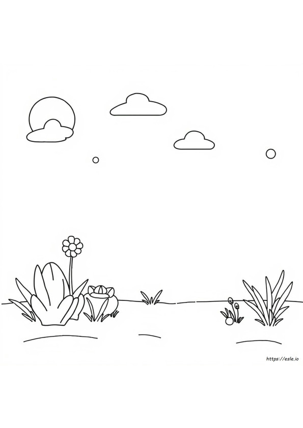 Blank Drawings To Color
