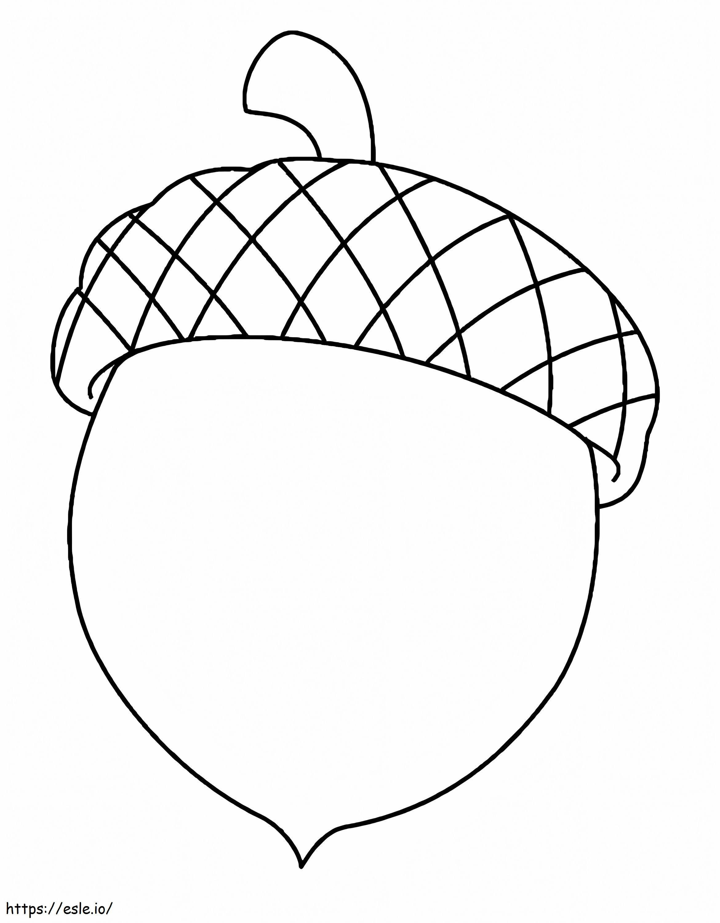 acorn-v-rityskuva