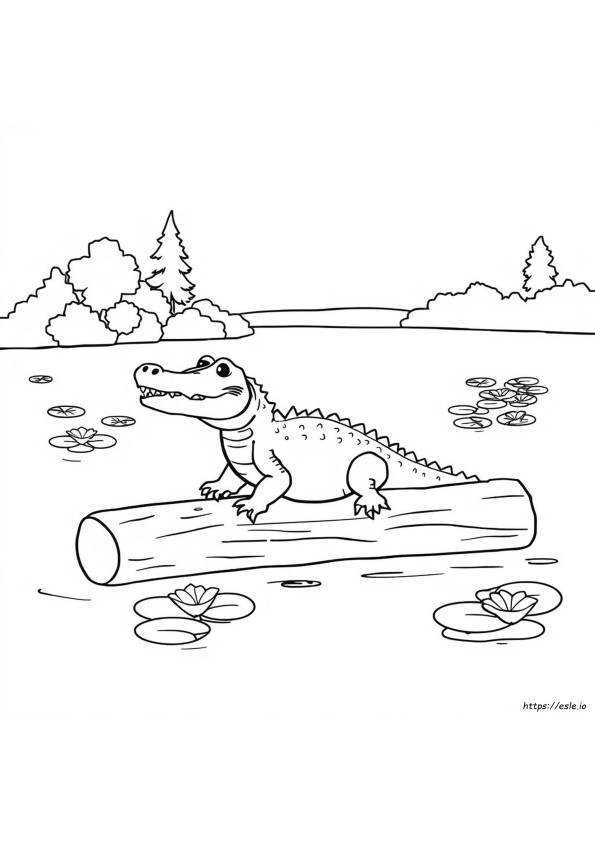 Dibujos De Cocodrilos Para Colorear