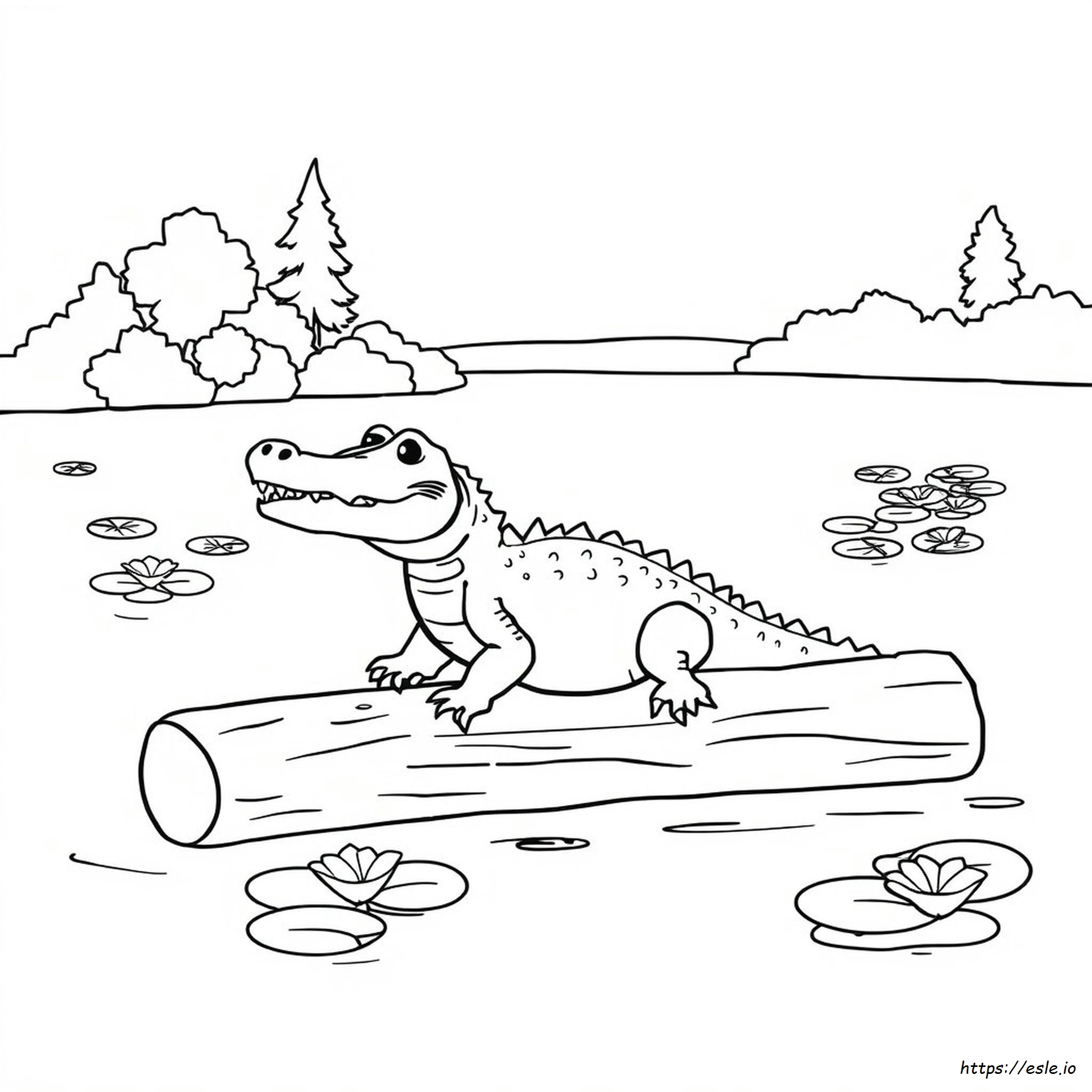 Colouring Pages Of Alligator