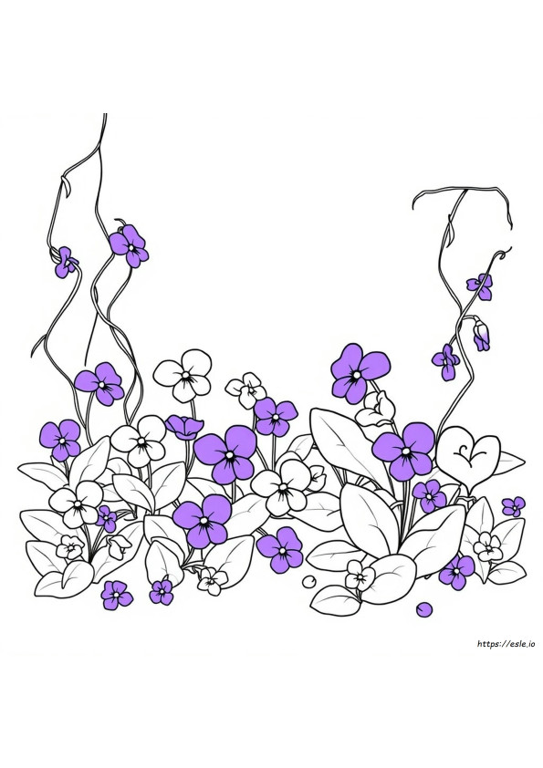 What Is A Violet Color