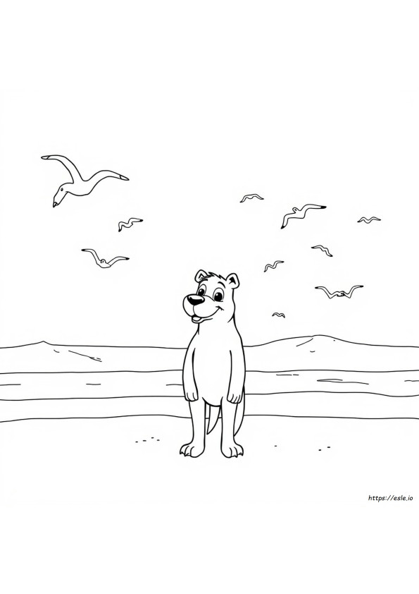 Kosel Coloring Sheet
