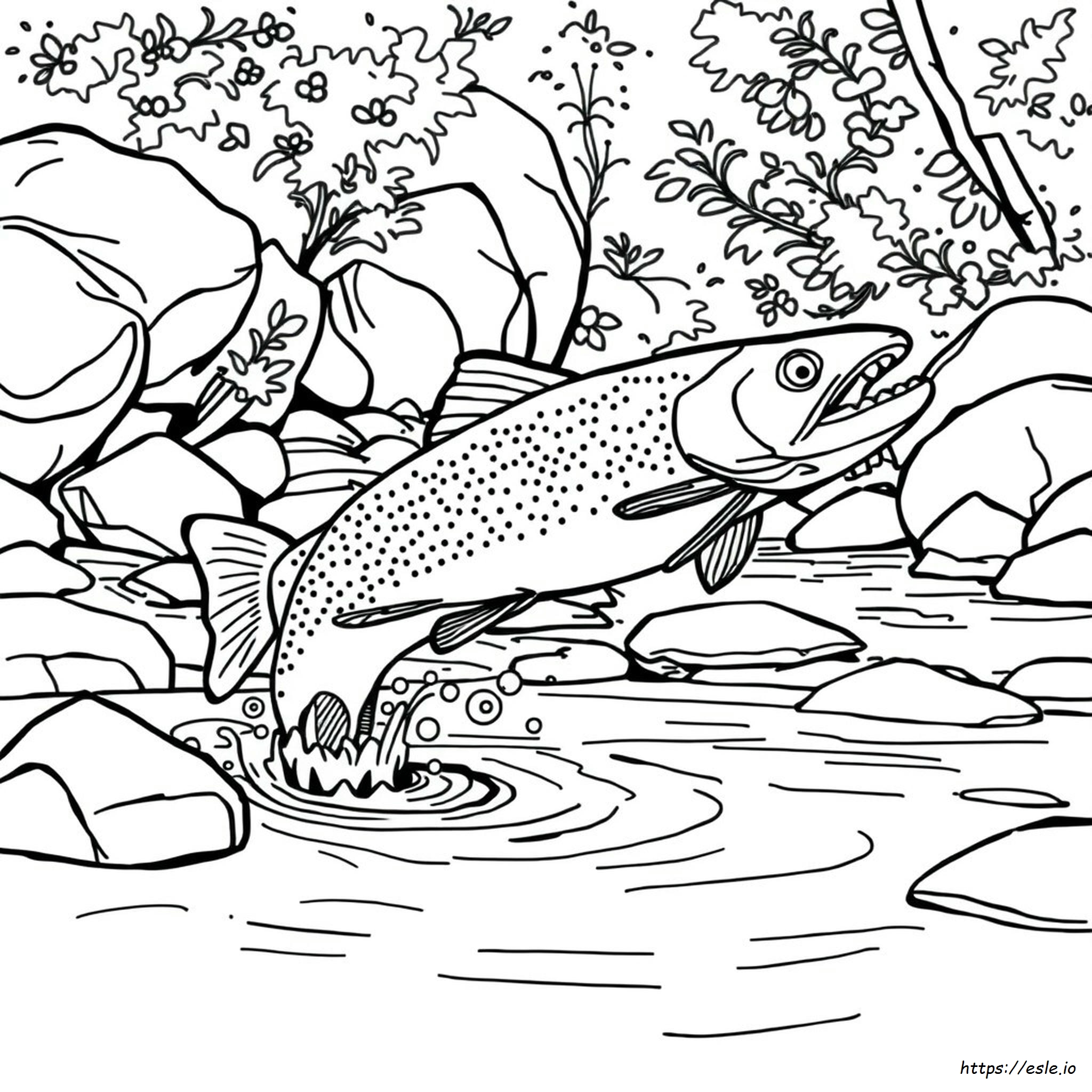 Brook Trout Coloring Page