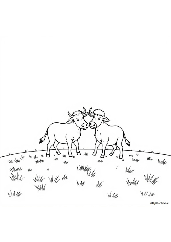 Humping Animals Coloring Book