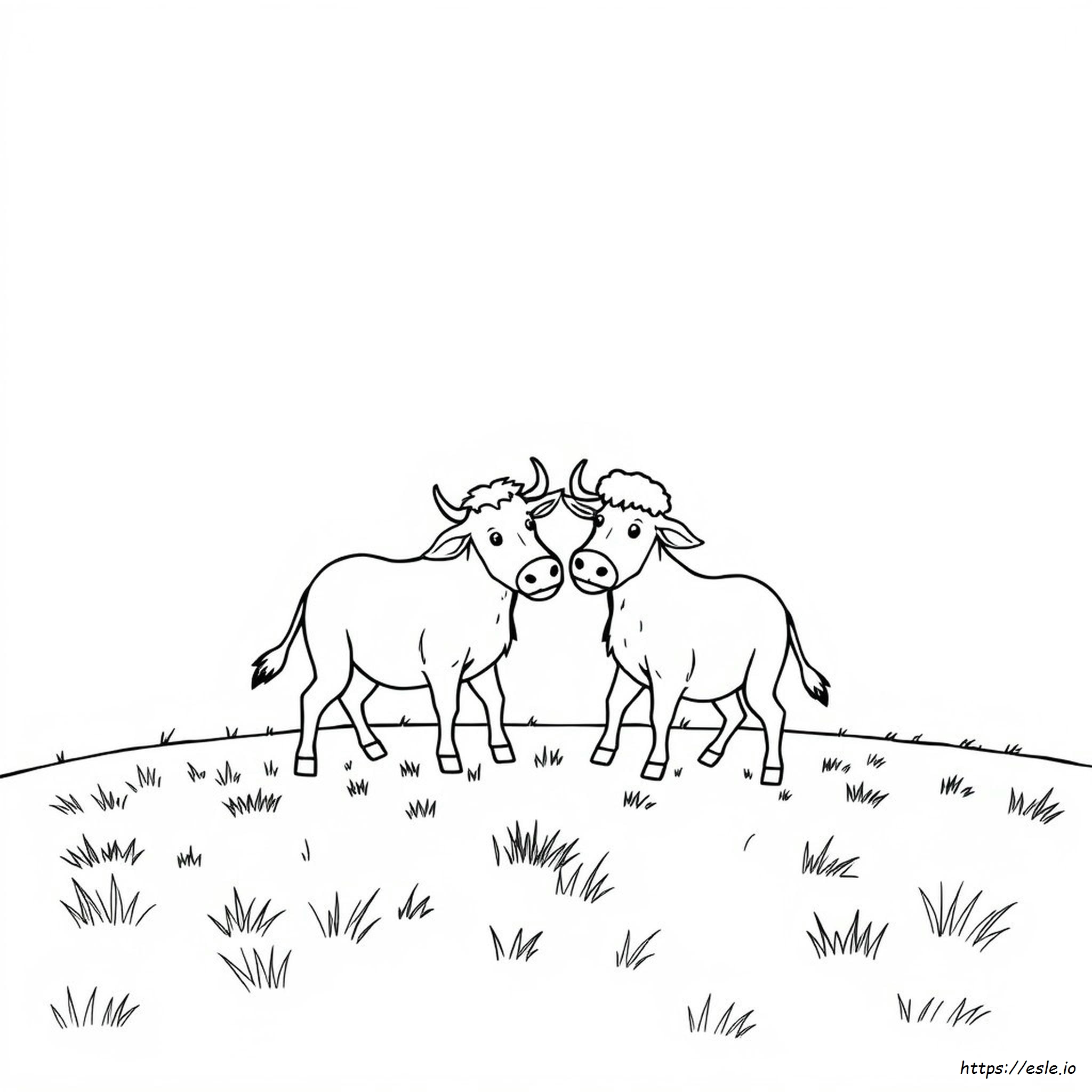 Animales Saltando Para Colorear