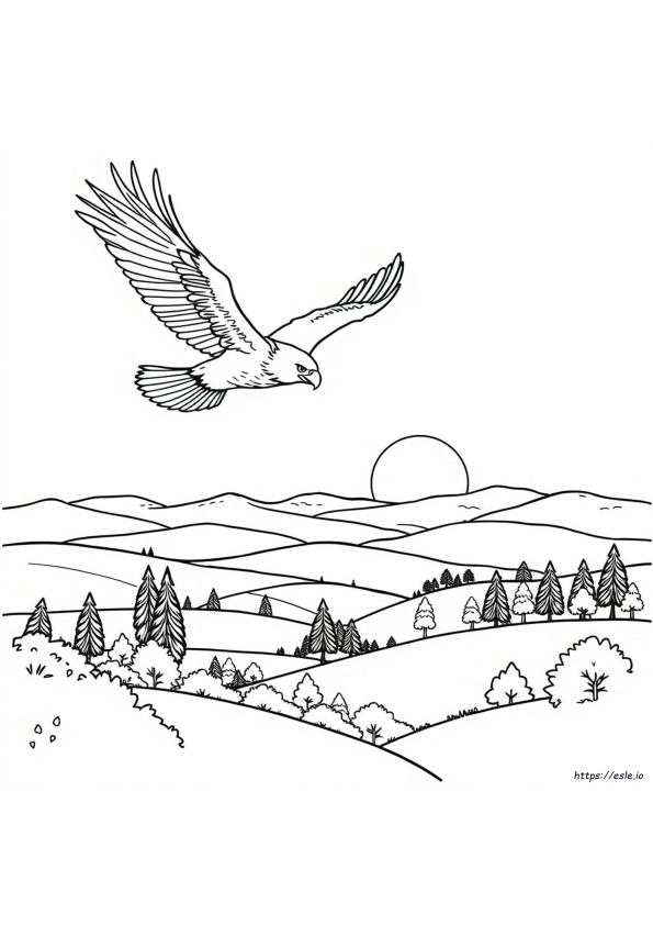 Mighty Eagle Coloring Page