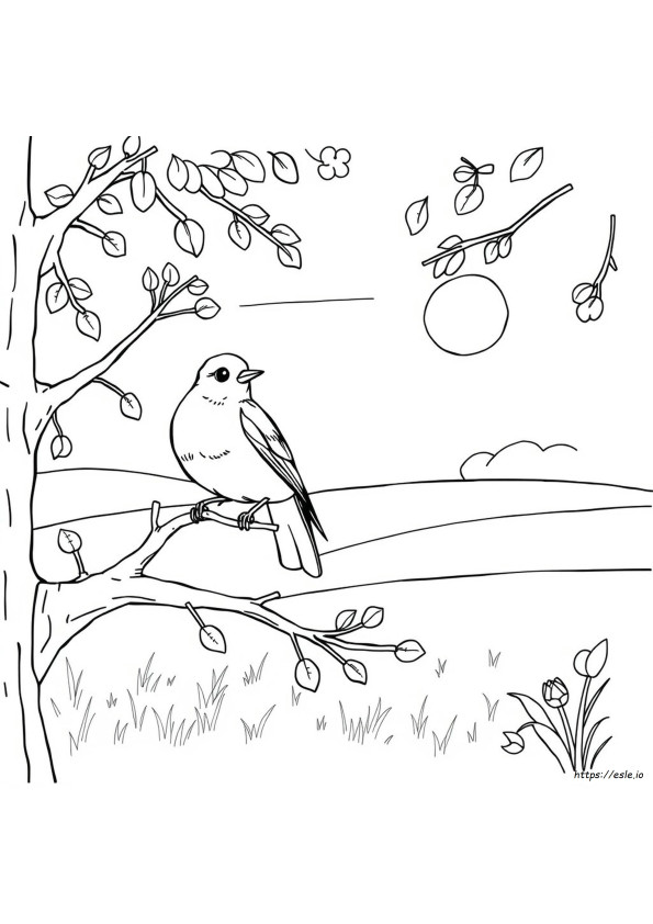 Red Robin Coloring Pages
