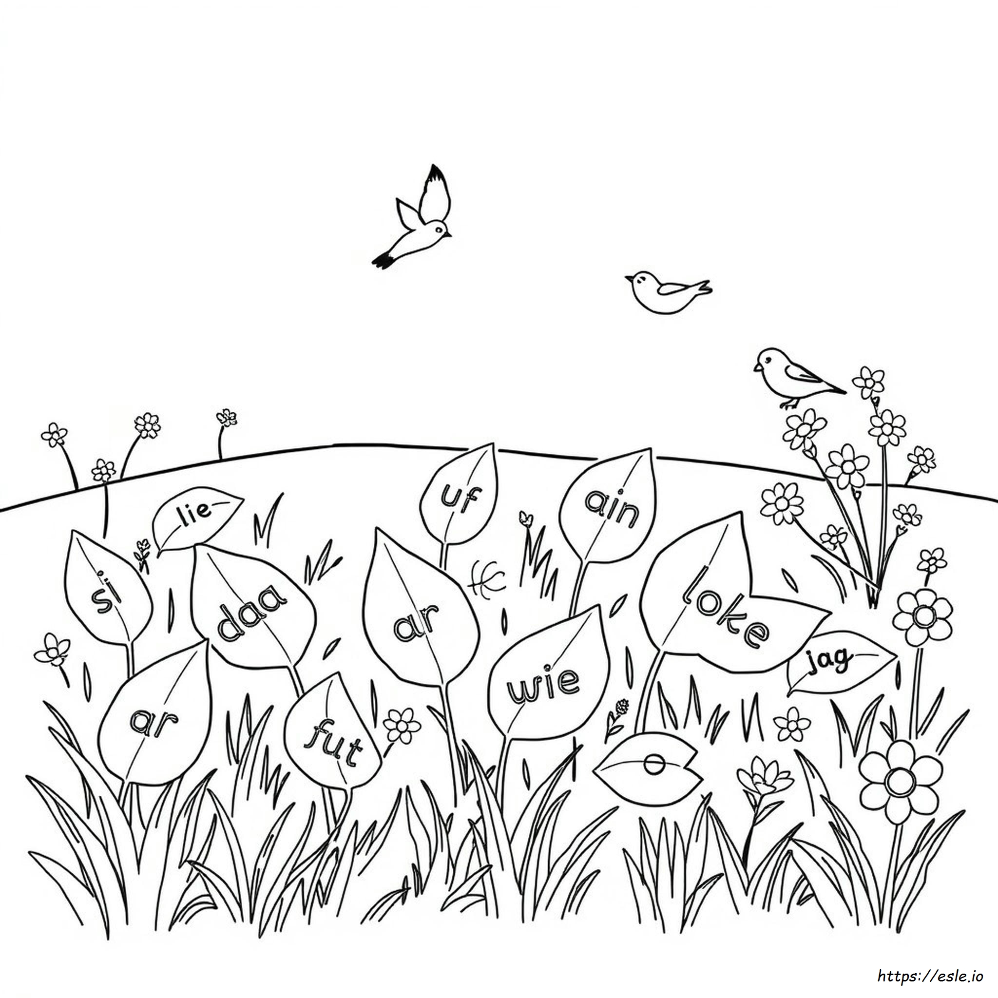 Free Sight Word Coloring Pages Pdf