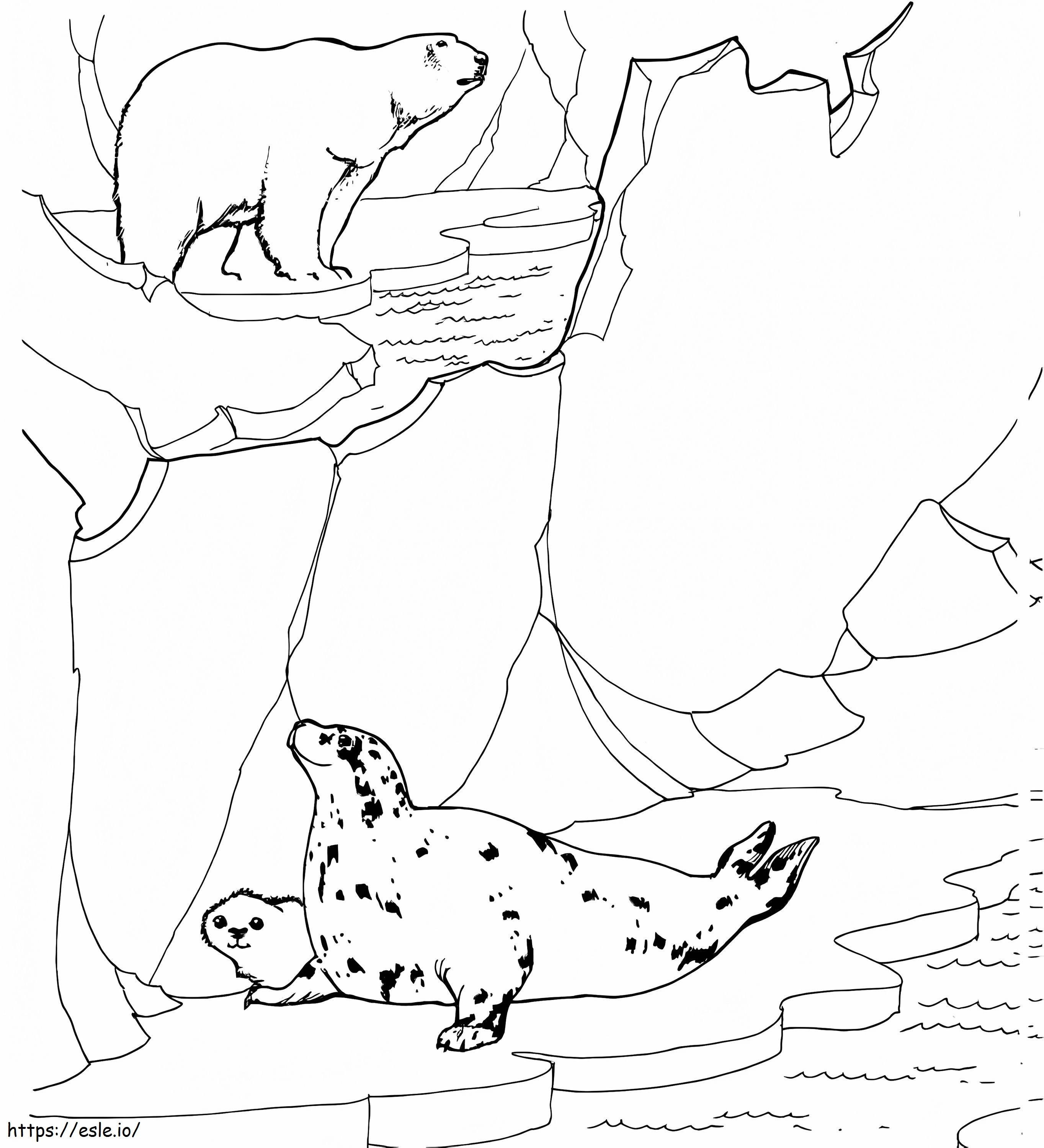 Coloriage Ours polaire et phoques à imprimer dessin