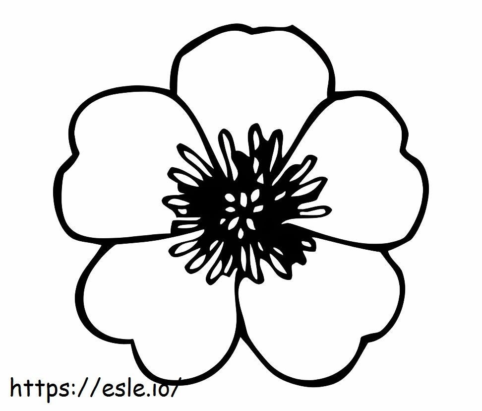 Poppy Flower coloring page