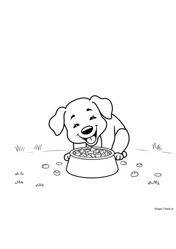Dog Food Coloring