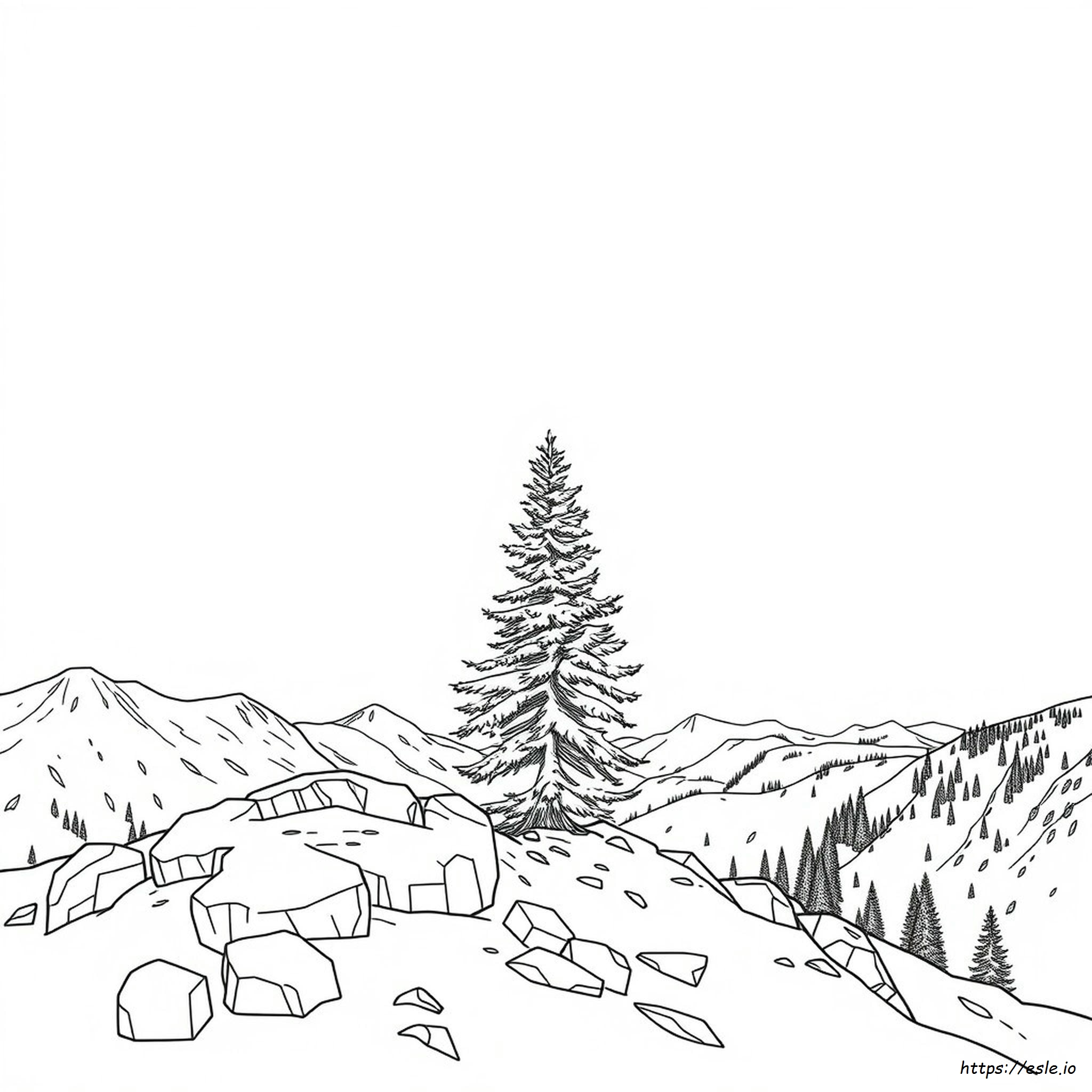 Wyoming State Tree Coloring Page