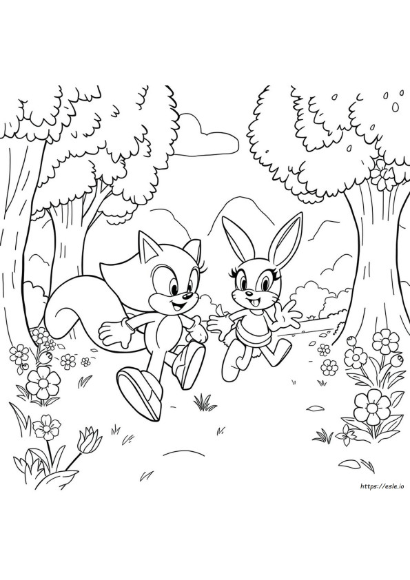 Sonic Amy Coloring